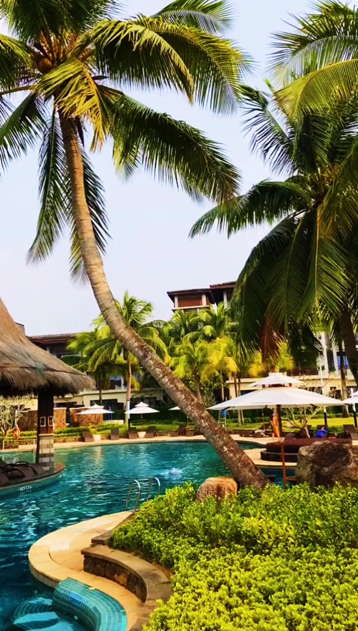 旅行#三亚万宁石梅湾艾美度假酒店.住在这里是不是性格都是温顺 ??