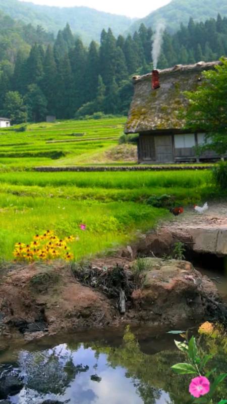 大自然美景#當你心情不好的時候,回老家住一段時間吧,讓浮躁的心安靜