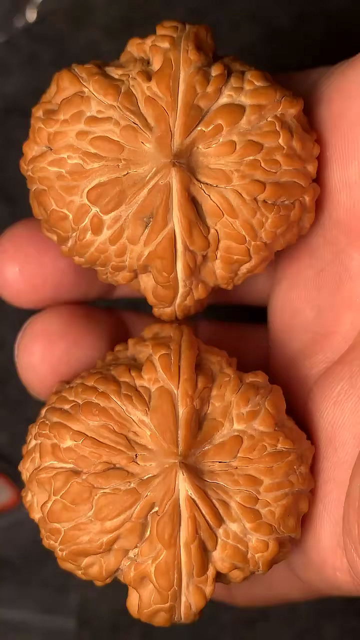 文玩核桃闷墩狮子头也叫麒麟纹狮子头