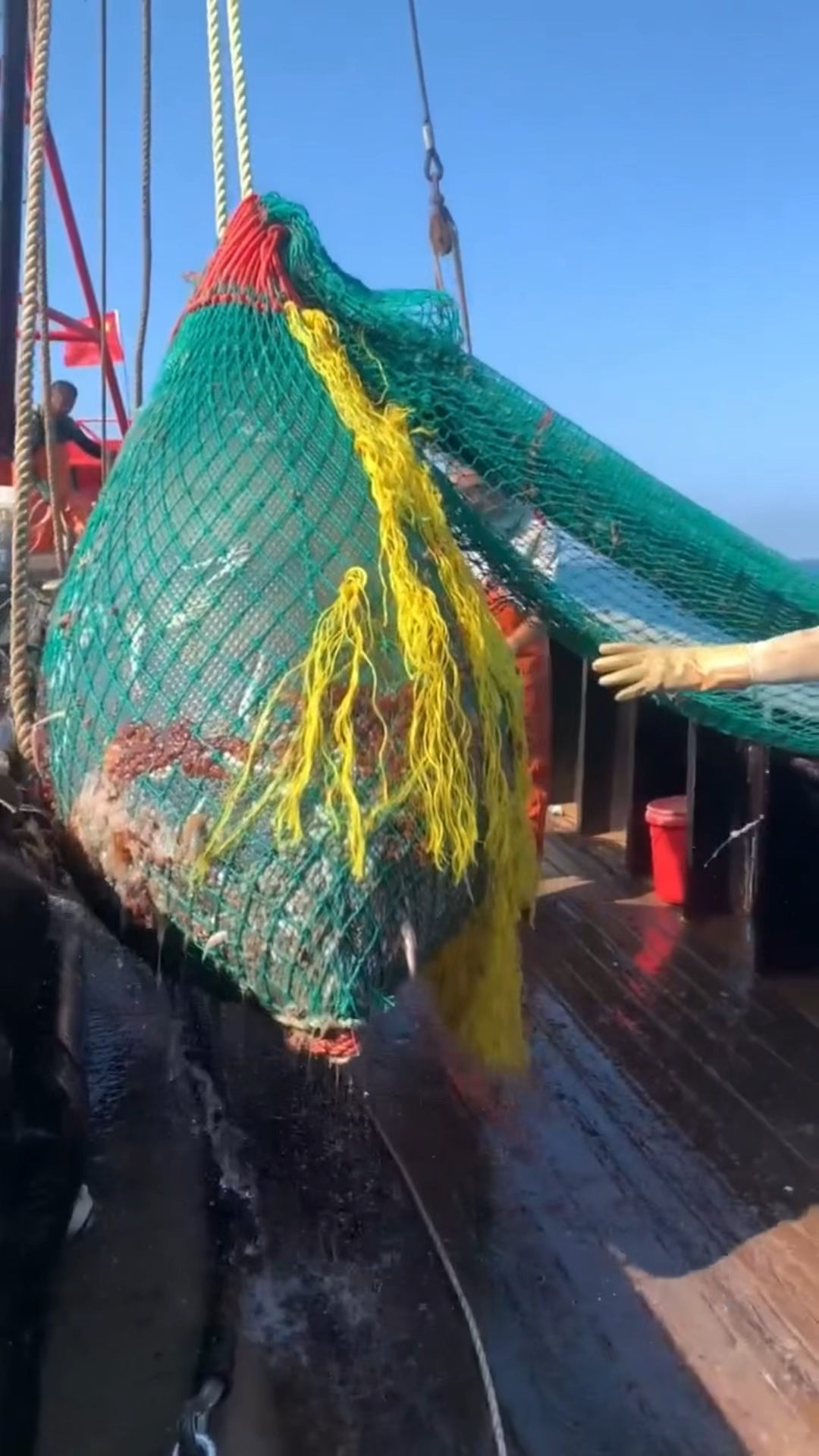 赶海捉海鲜#有付出就有收获,看看渔民出海捕鱼