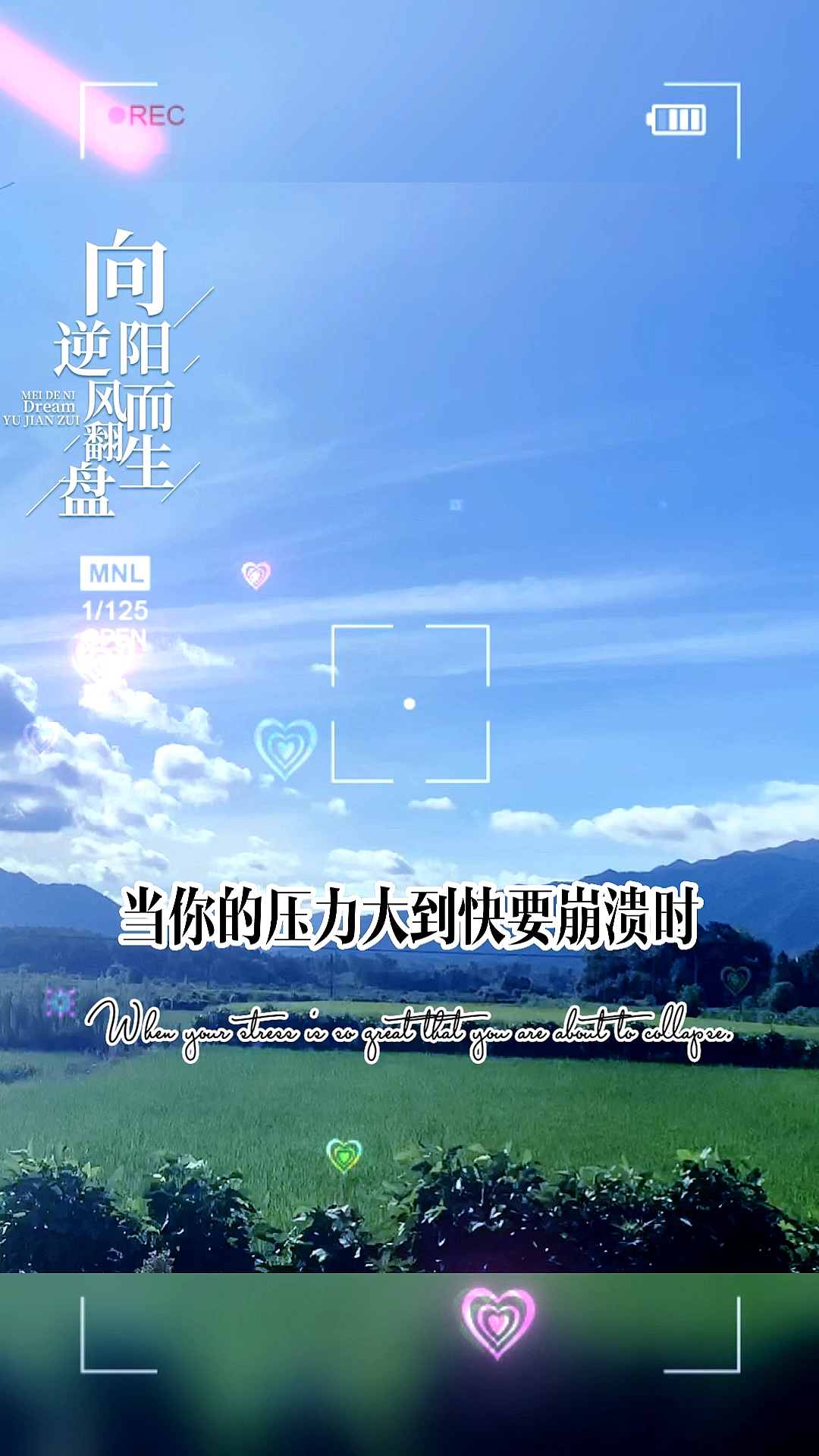 逆风翻盘,向阳而生!