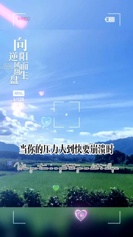 逆风翻盘,向阳而生!