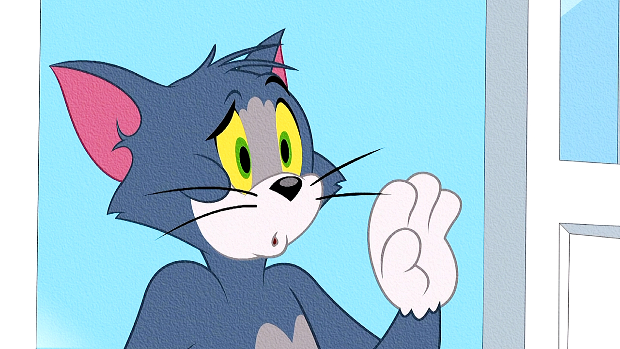 猫和老鼠#"没有家的布奇渴望交到朋友"