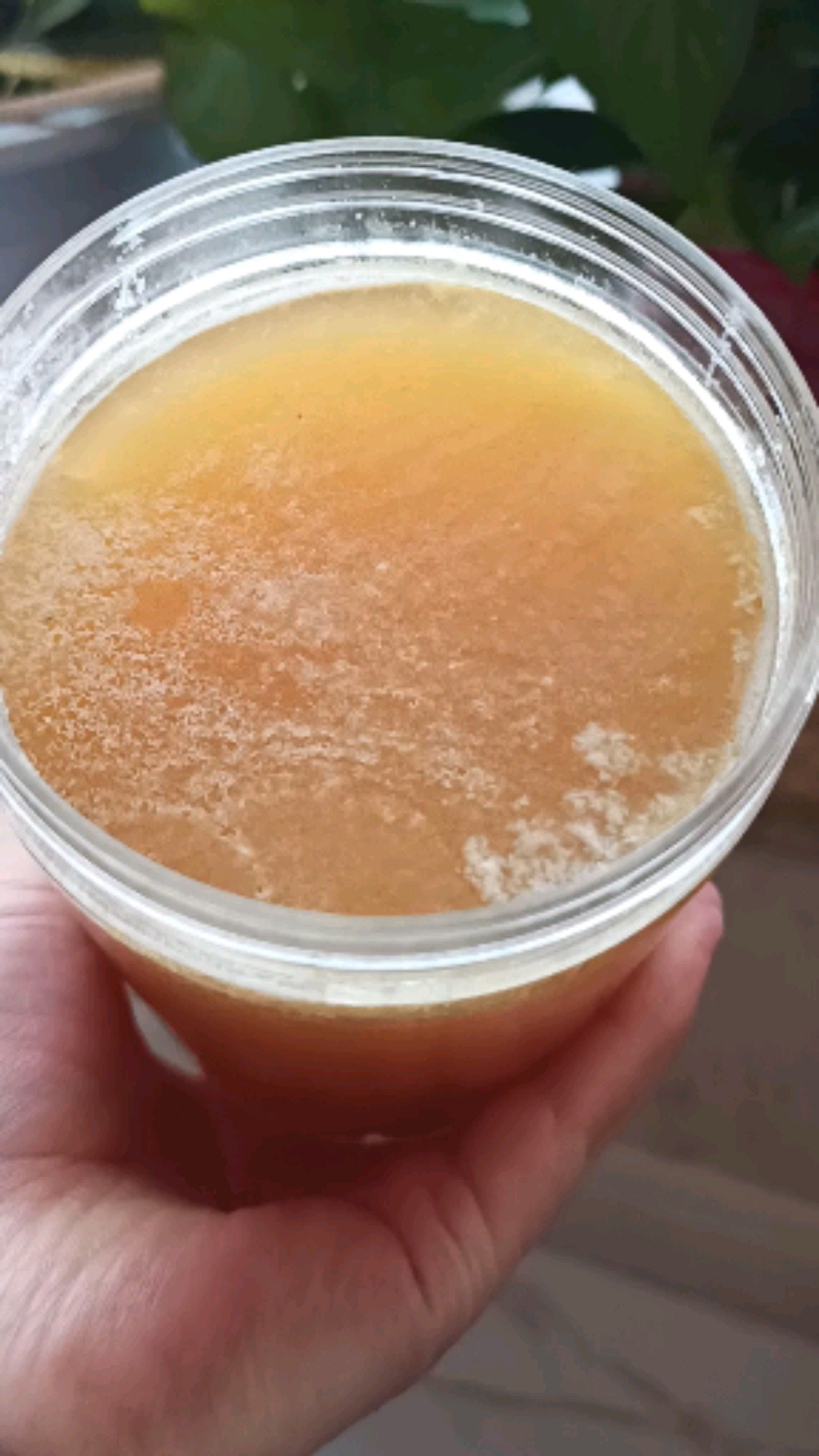 秦岭土蜂蜜#山里王秦岭土蜂蜜结晶土蜂蜜-度小视