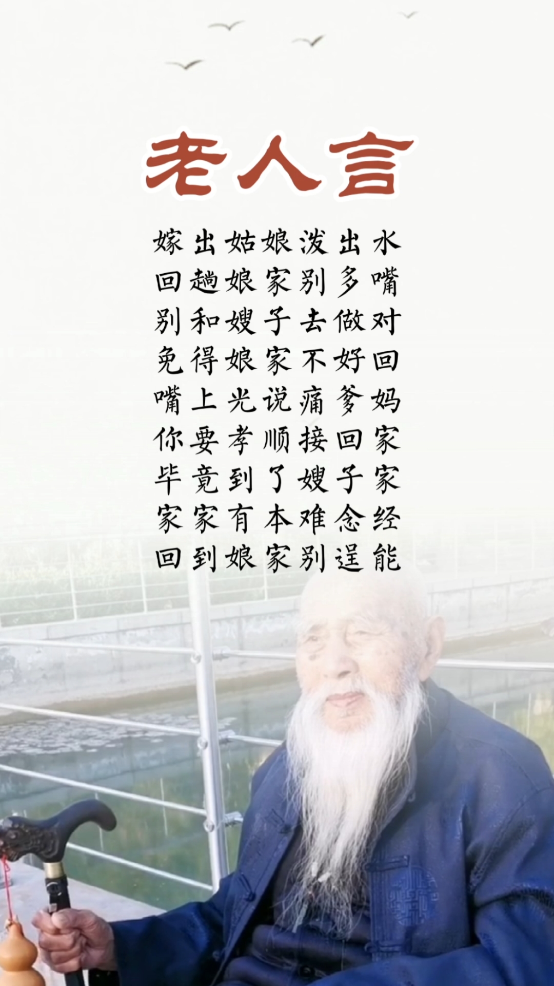 老人言#经典老人言受益一生