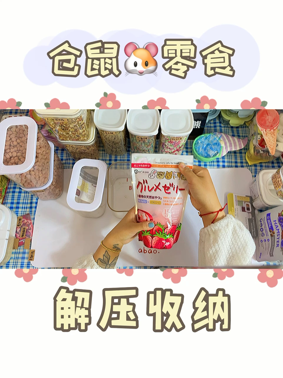 仓鼠仓鼠零食收纳解压75下篇
