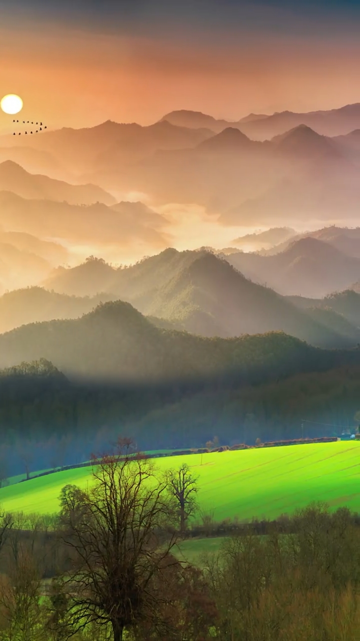 唯美意境#一生所想,不过饱餐和被爱;一生所求,不过温暖与良人;一生所