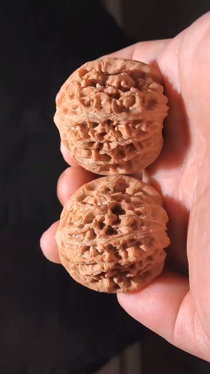 文玩核桃#血麒麟,少有的品相