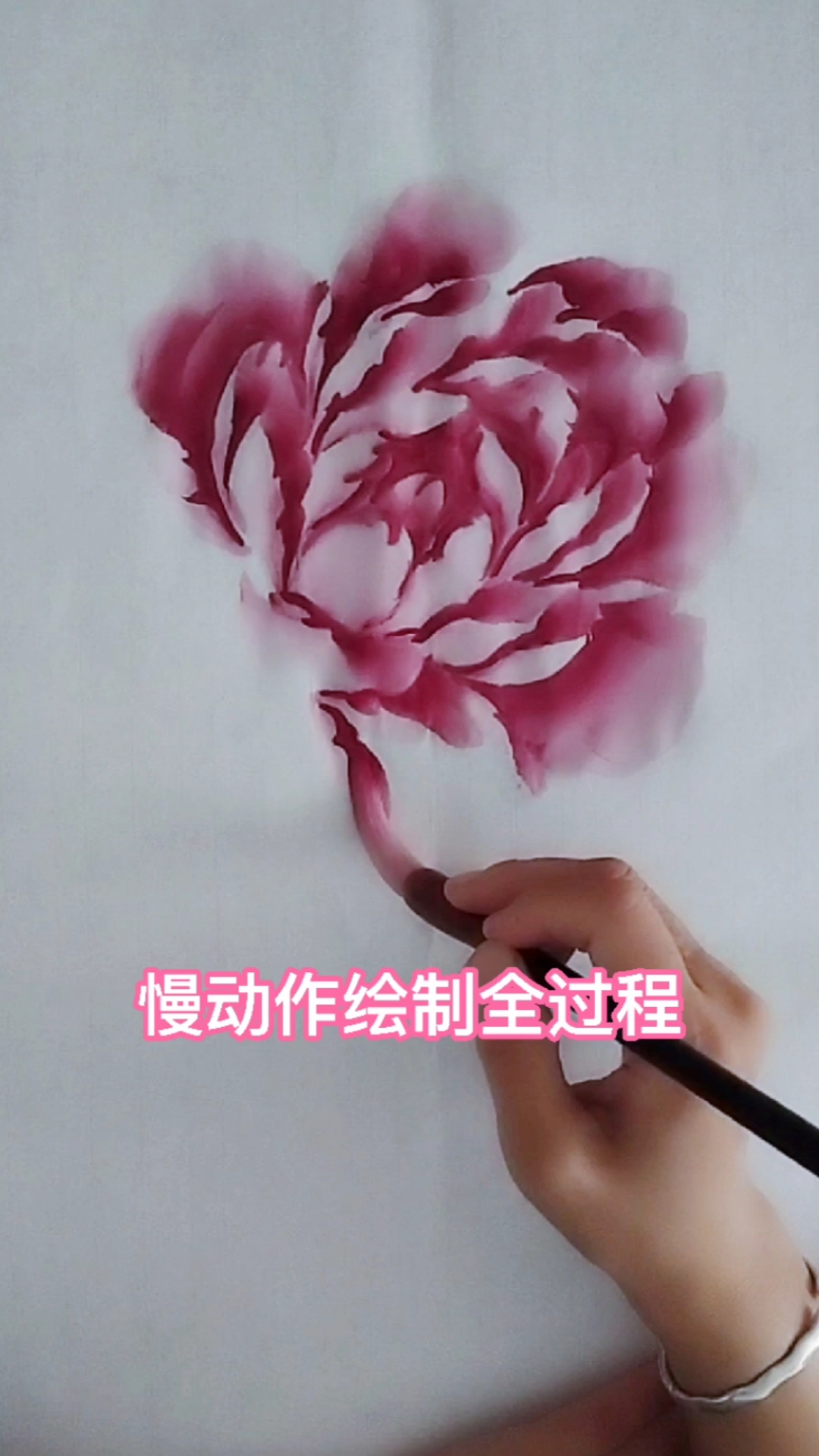 立体切瓣牡丹的完整绘制,视频无加速,过程有点长,建议收藏,空闲时耐心