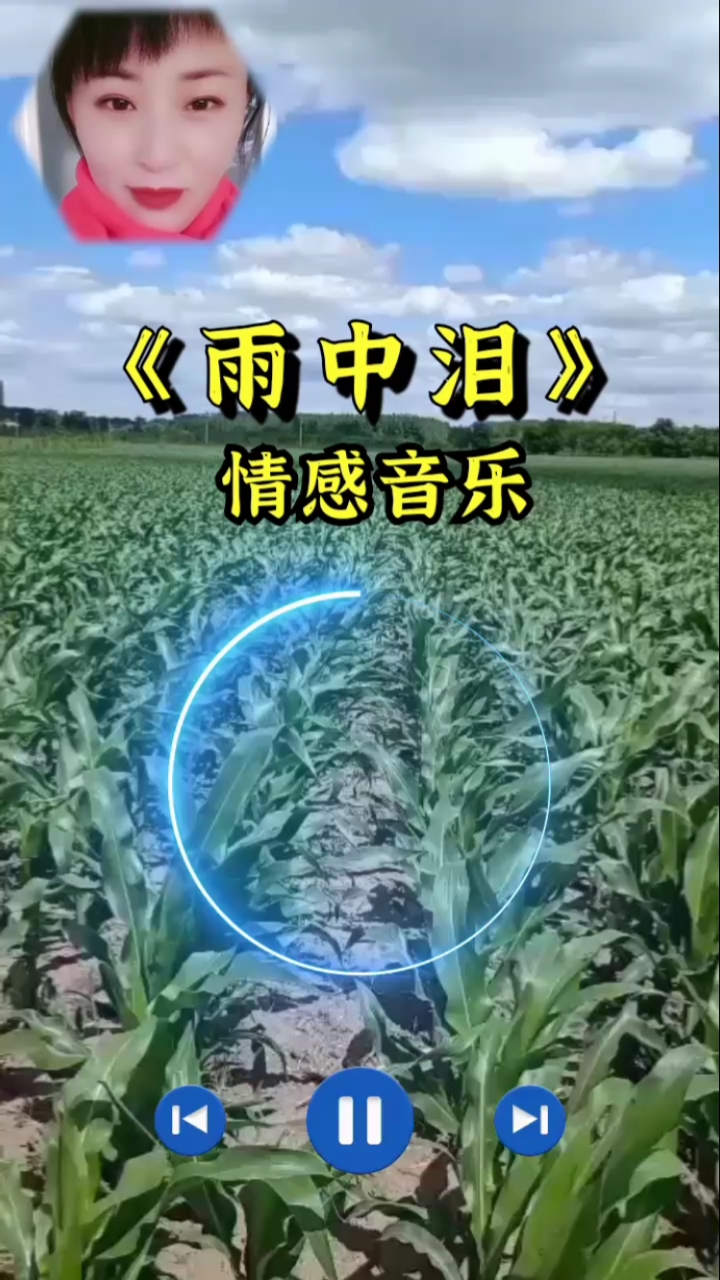 回家路上那些事#伤感歌曲,雨中泪