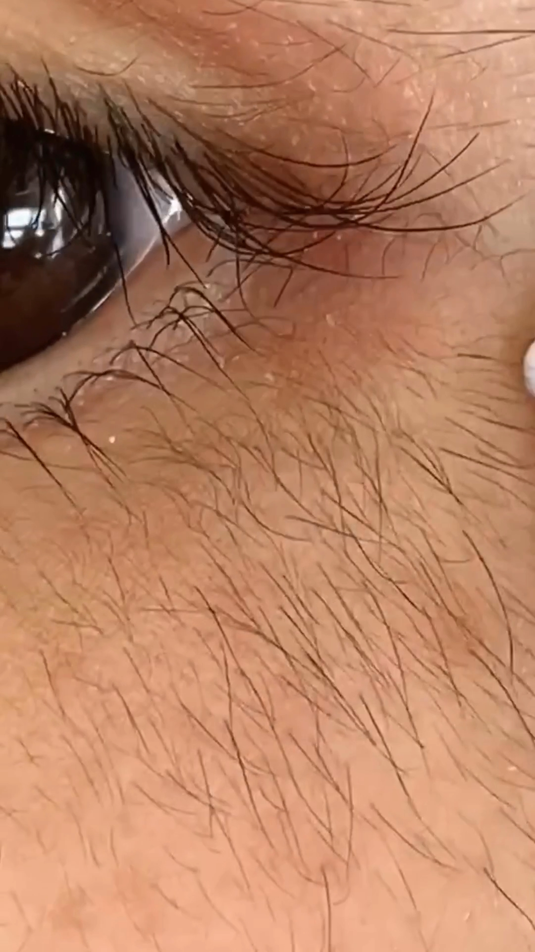 看,眼角都长毛了,你们还不信吗?