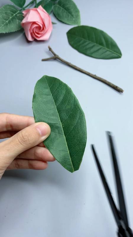 用分叉的树枝和树叶,制作简单的蜻蜓-度小视