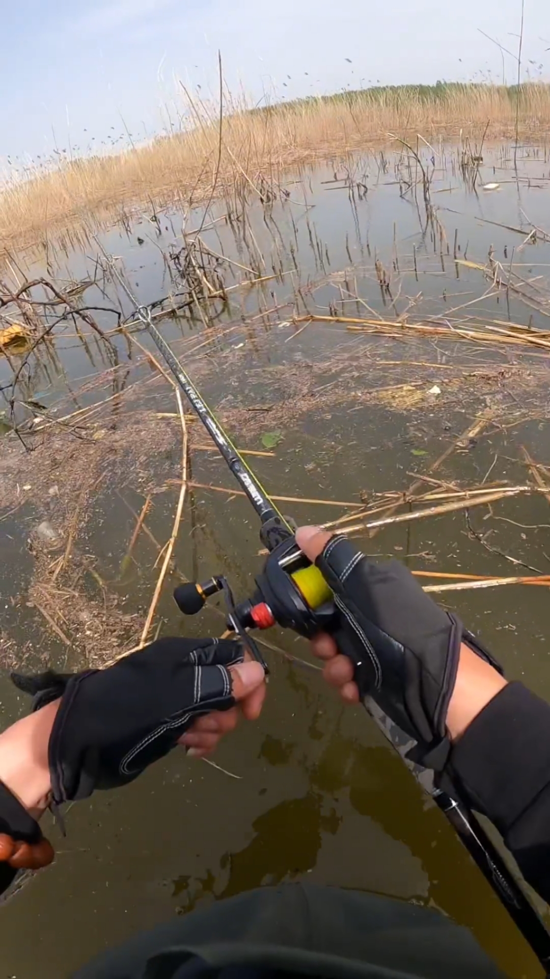 野钓钓鱼#暴力美学,路亚黑鱼刺鱼瞬间.