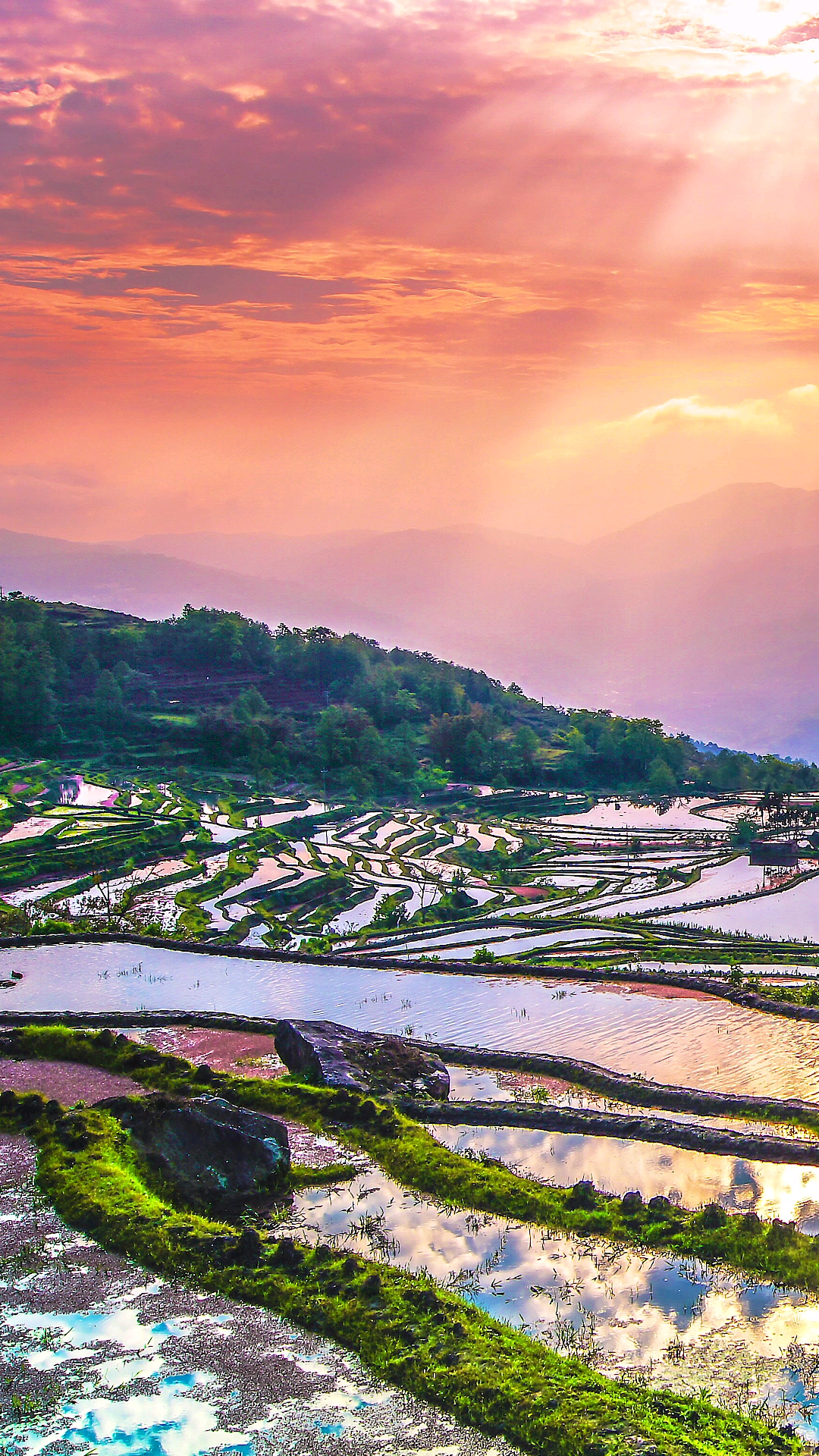 旅游进行时#云南元阳梯田晚霞,用绝美的景象惊艳着世界!