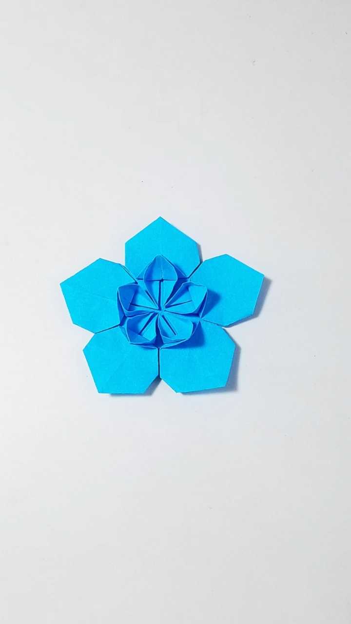 折纸#折纸五瓣立体花视频教程