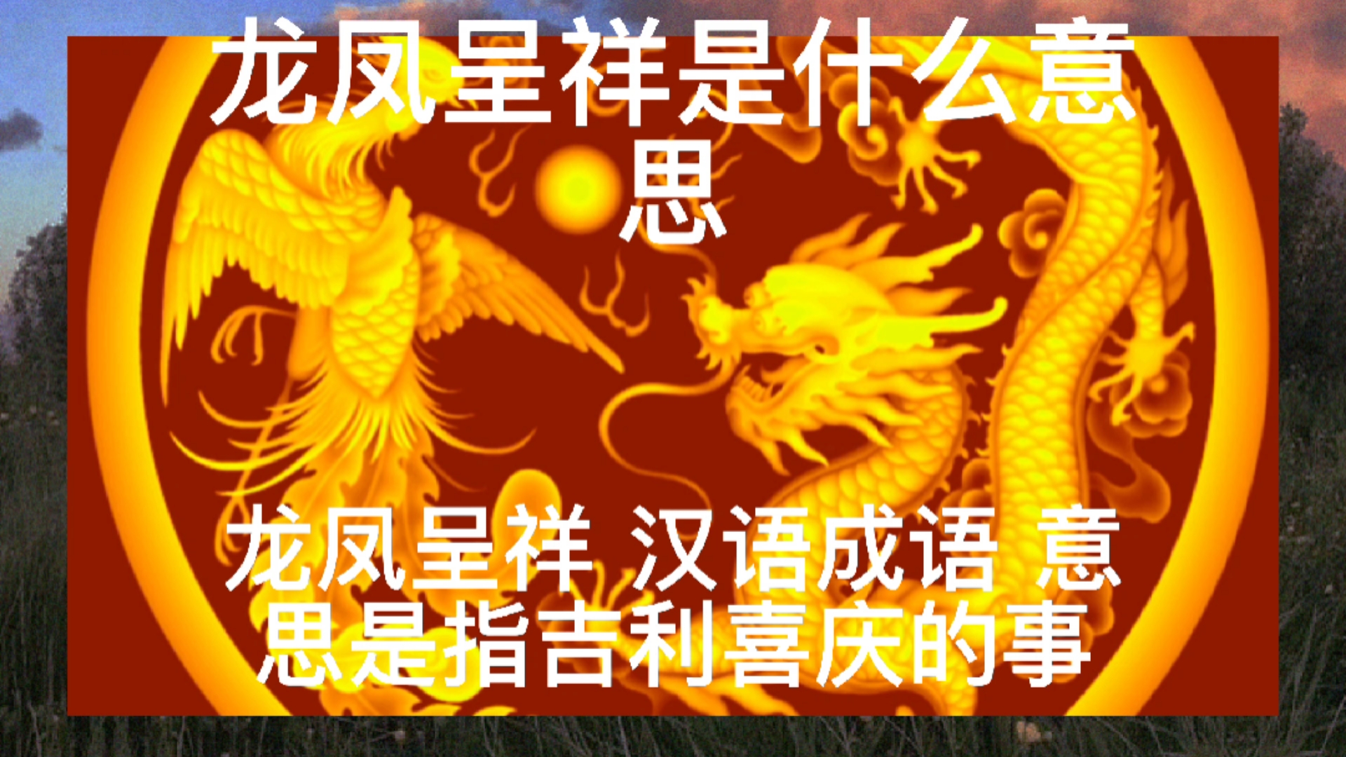 全民涨知识##龙凤呈祥是什么意思
