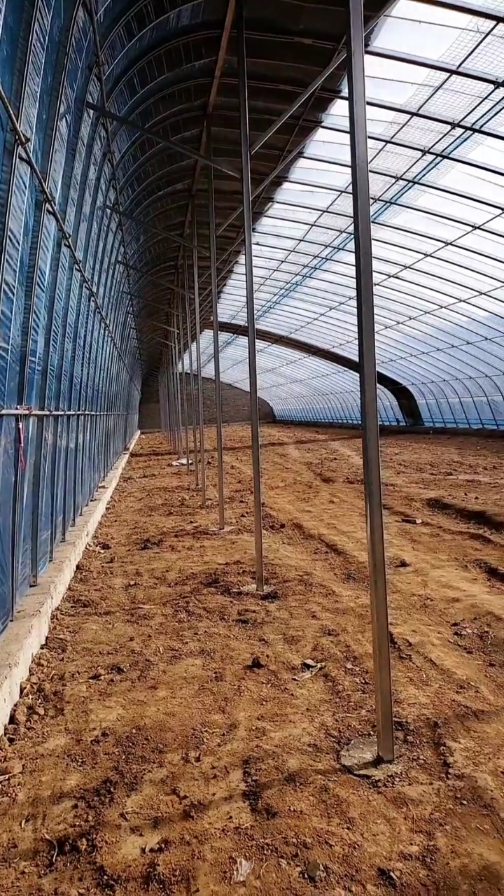 养殖大棚__李海侠#全钢架暖棚整体效果,建棚的留个关注