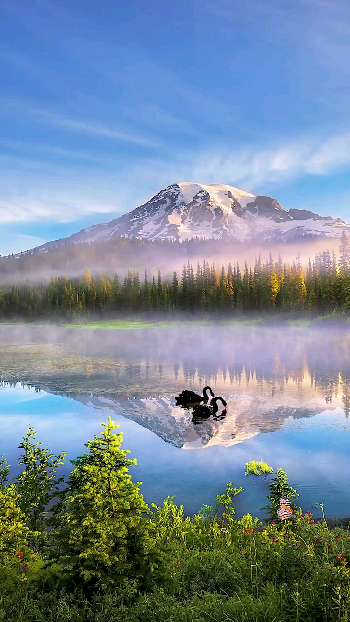 如果无能为力,那就顺其自然,如果心无所持,那就随遇而安!