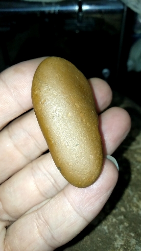 陨石#说是鹅卵石的,建议再认真的观察一下.