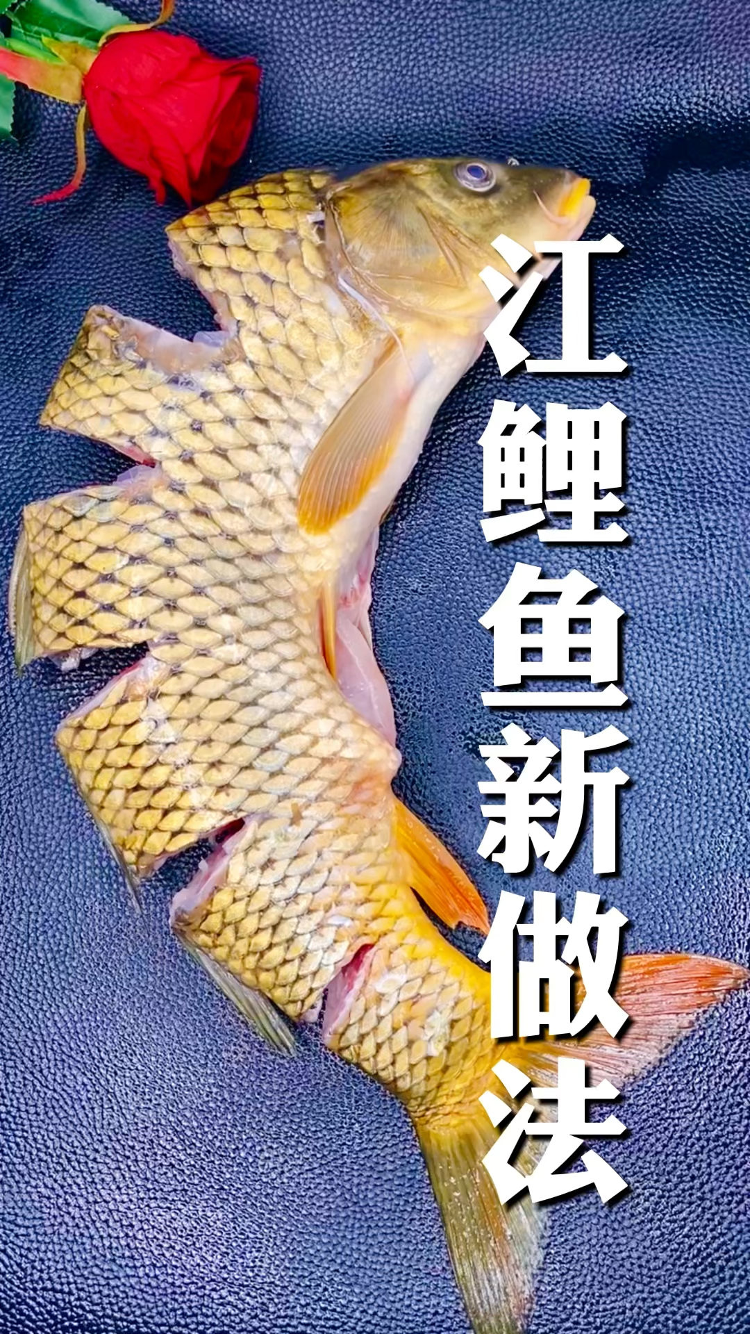 江鲤鱼