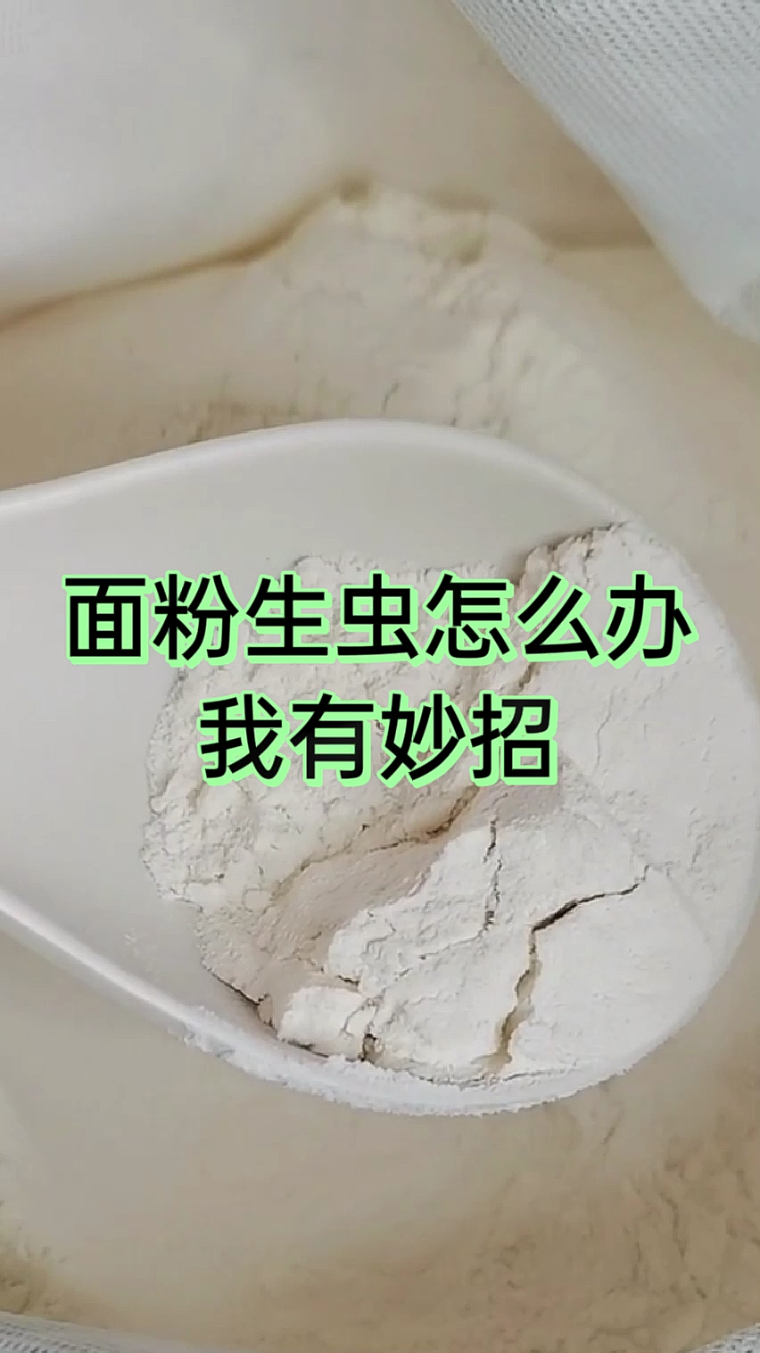 生活小妙招#面粉生虫怎么办我有妙招