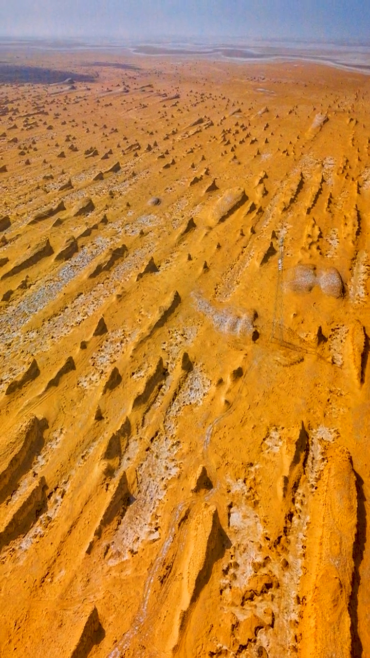 沙漠#"鲸鱼雅丹"又称三垄沙雅丹,这条流动的沙丘带位于巴音郭楞玉门