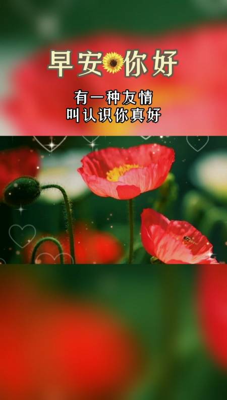 你好,夏天#有一种友情,叫认识你真好.