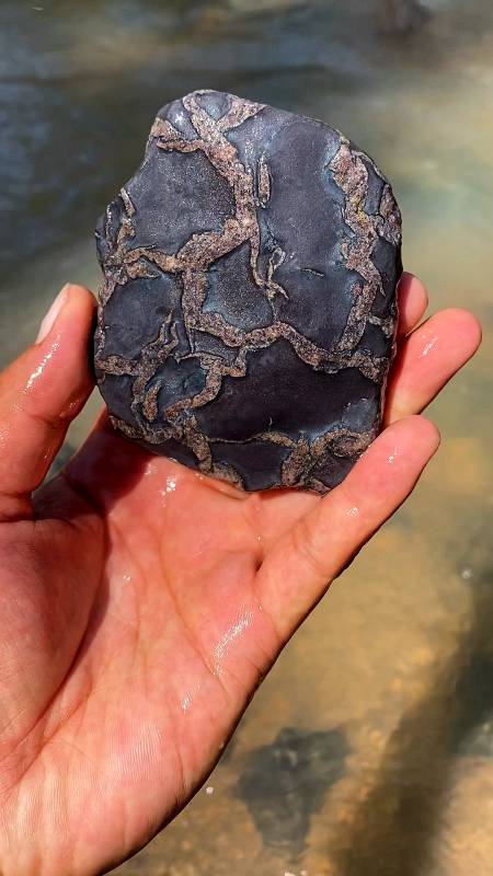 捡石头#捡到一块挺奇怪的石头