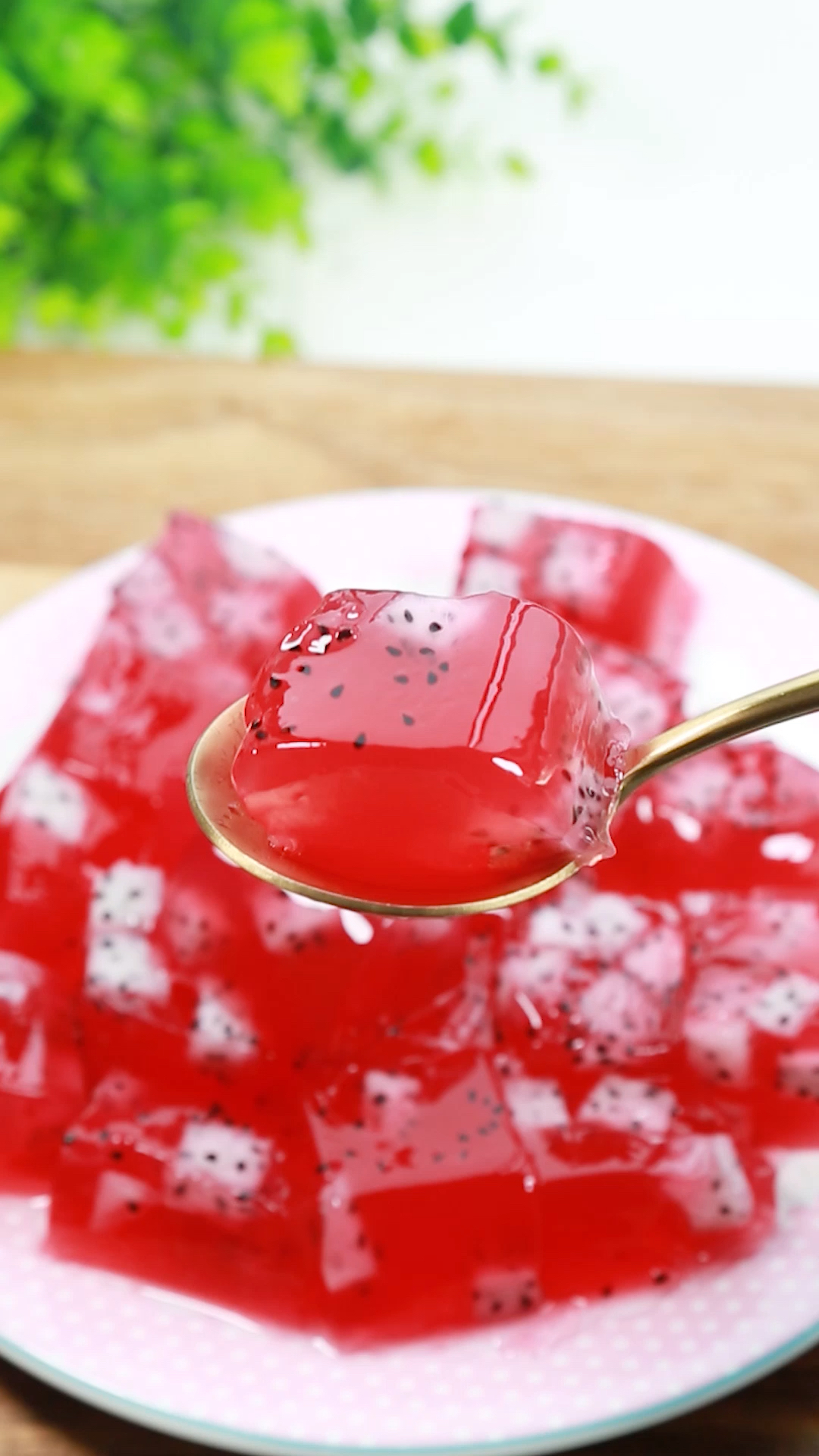 火龙果果冻超级好吃qq弹弹