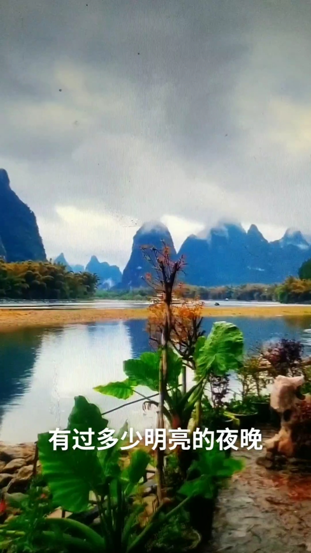 全民好歌曲#《人间第一情》