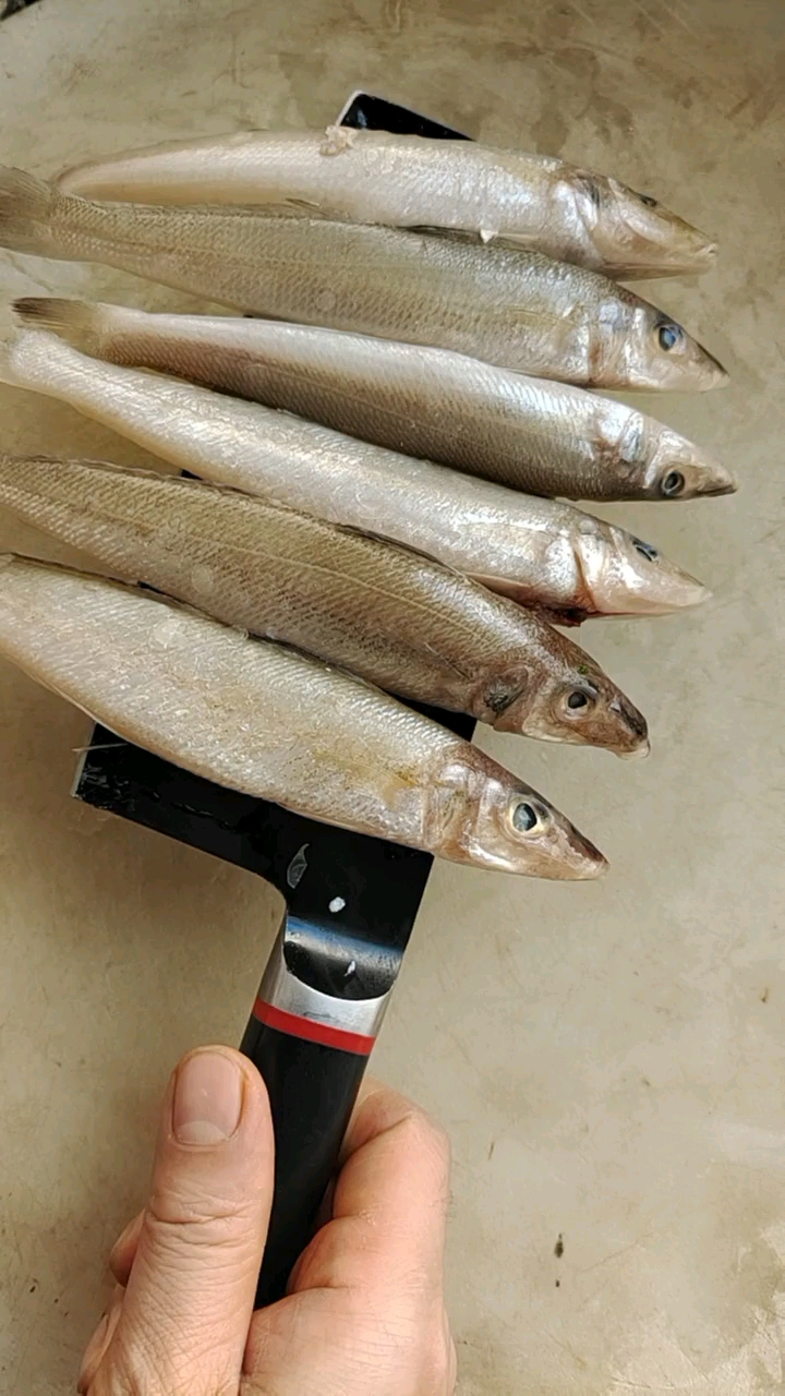 深海的野生沙丁鱼,你知道正确的吃法吗?