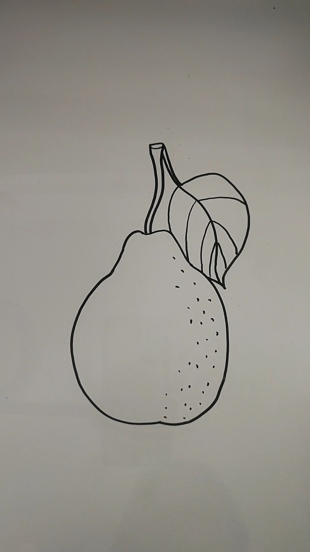 简笔画#简笔画——梨98的画法,让你快速学会简笔画-度小视