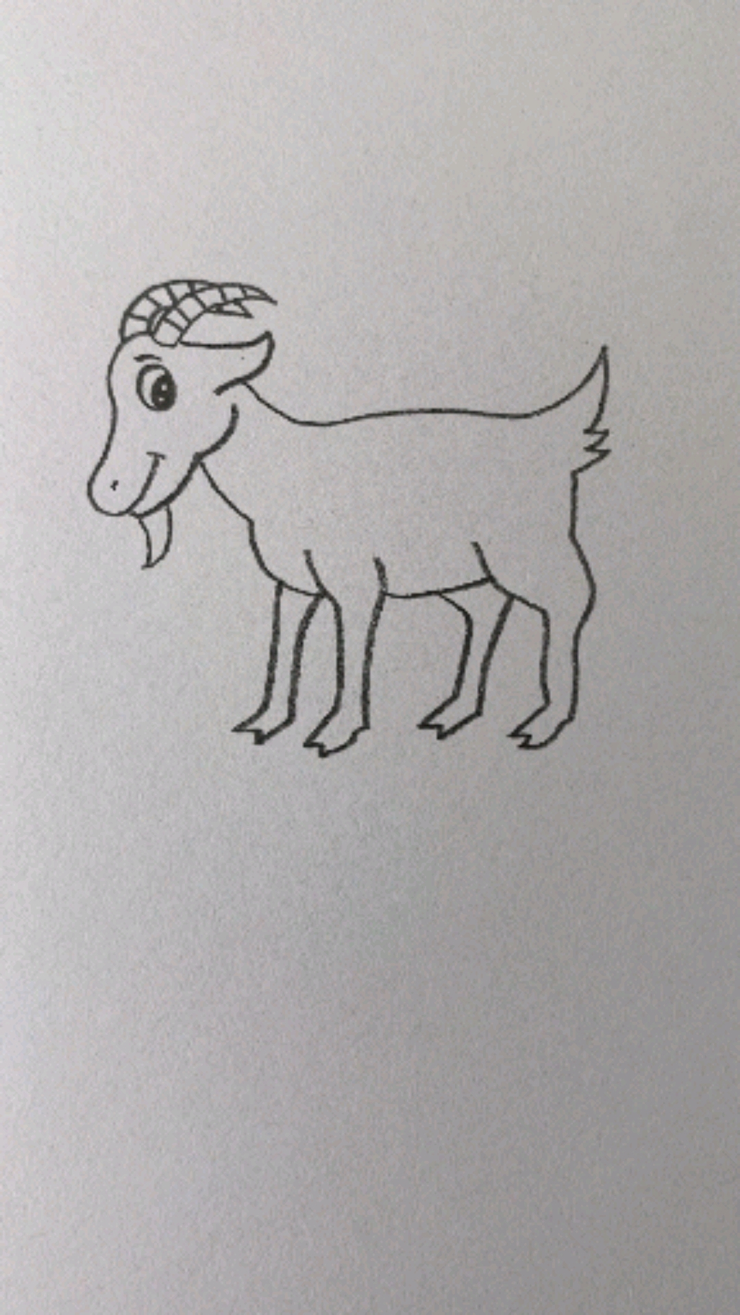 画一只可爱的山羊