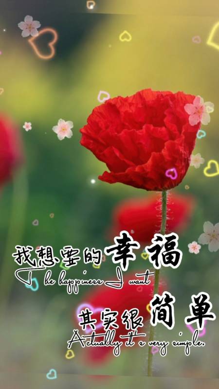 我想要的幸福,其实很简单,一个温暖的怀抱,一个可靠的肩膀,一个挣不多