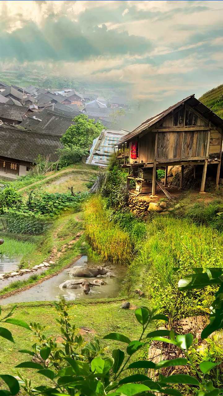 这就是真实的农村,山沟沟里务农的景象