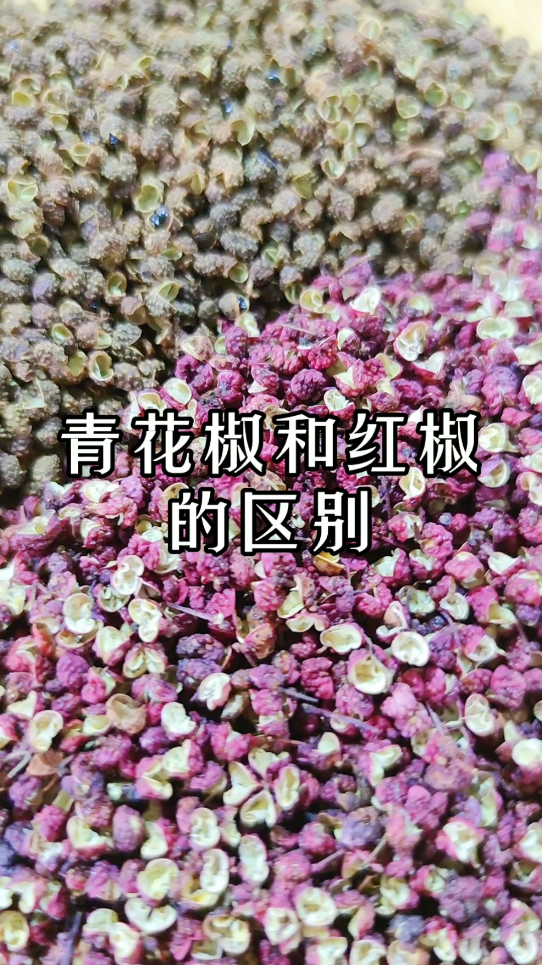 你知道红花椒和青花椒的区别和不同用处吗?