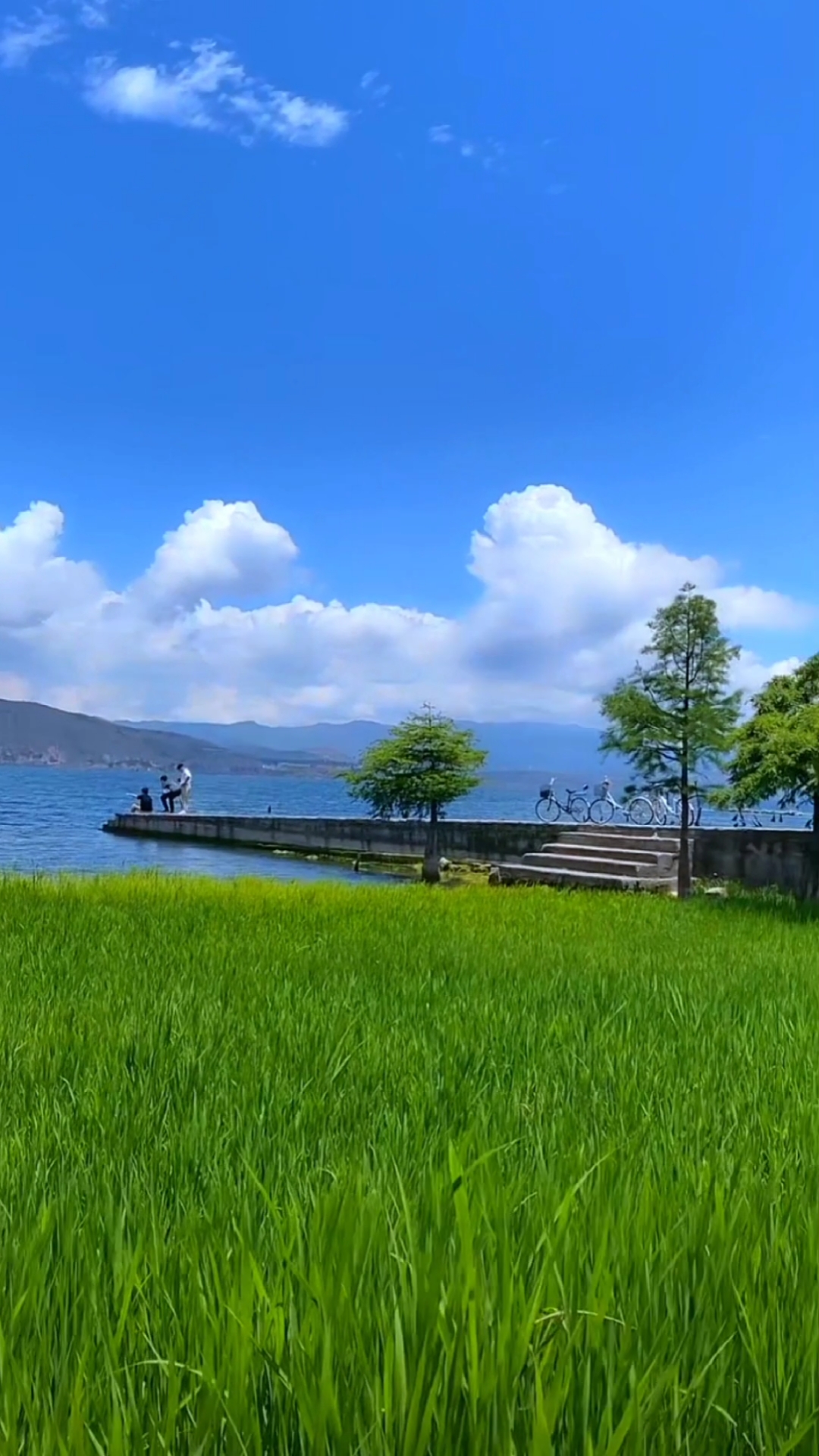 破壳计划#用绿草蓝天来粉饰生活,且听风吟,不问前后,在慵懒的思绪里