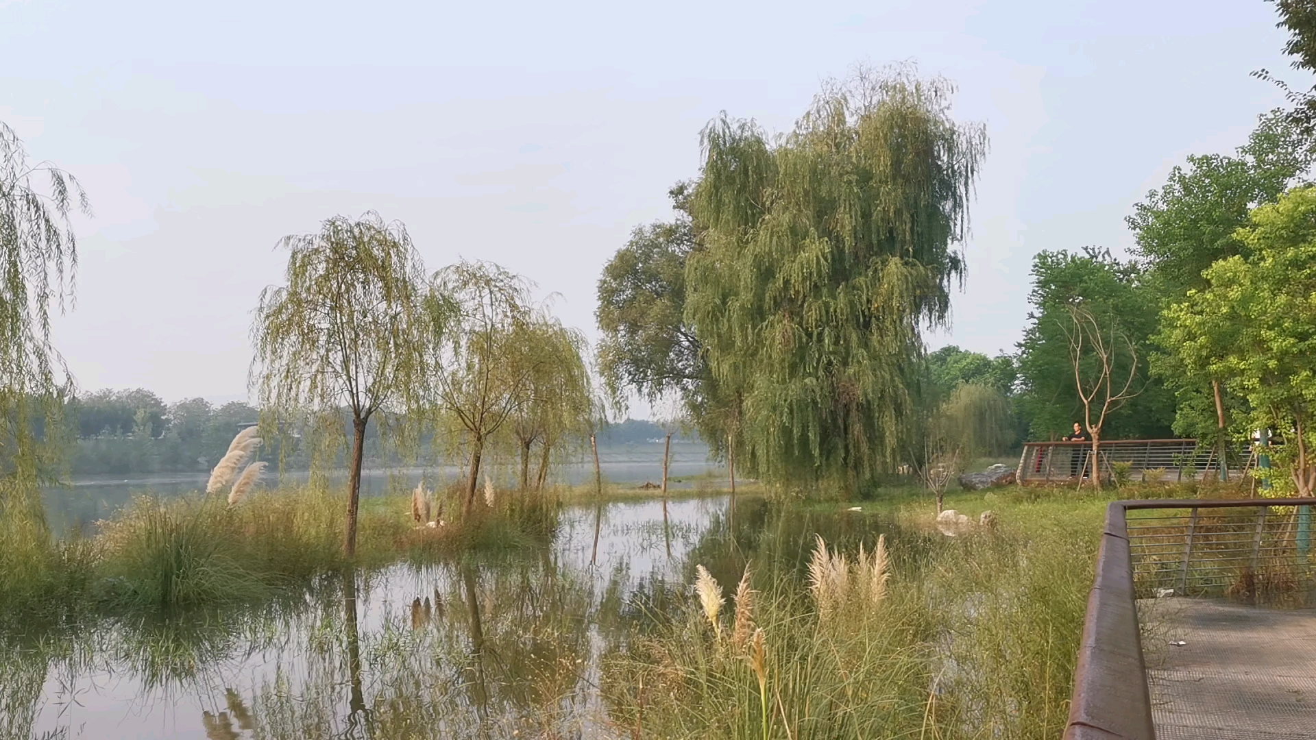 襄县湿地公园图片图片