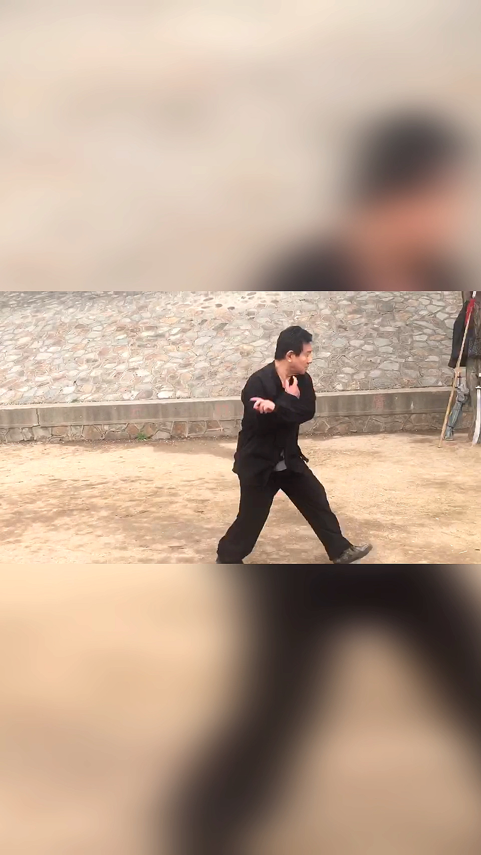 通背拳张喆五行通臂拳传人张春裕弟子郑荣庆演练的猛虎穿山式