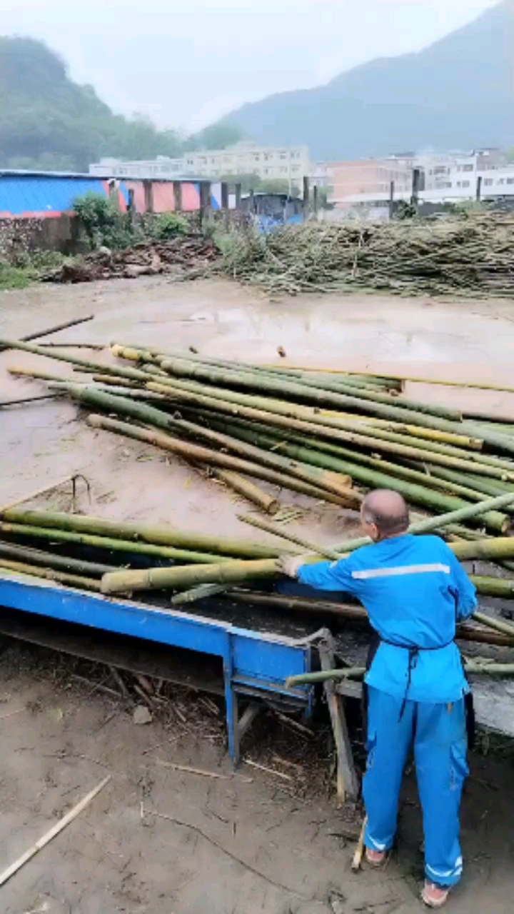 竹片机#竹子打片卖造纸厂