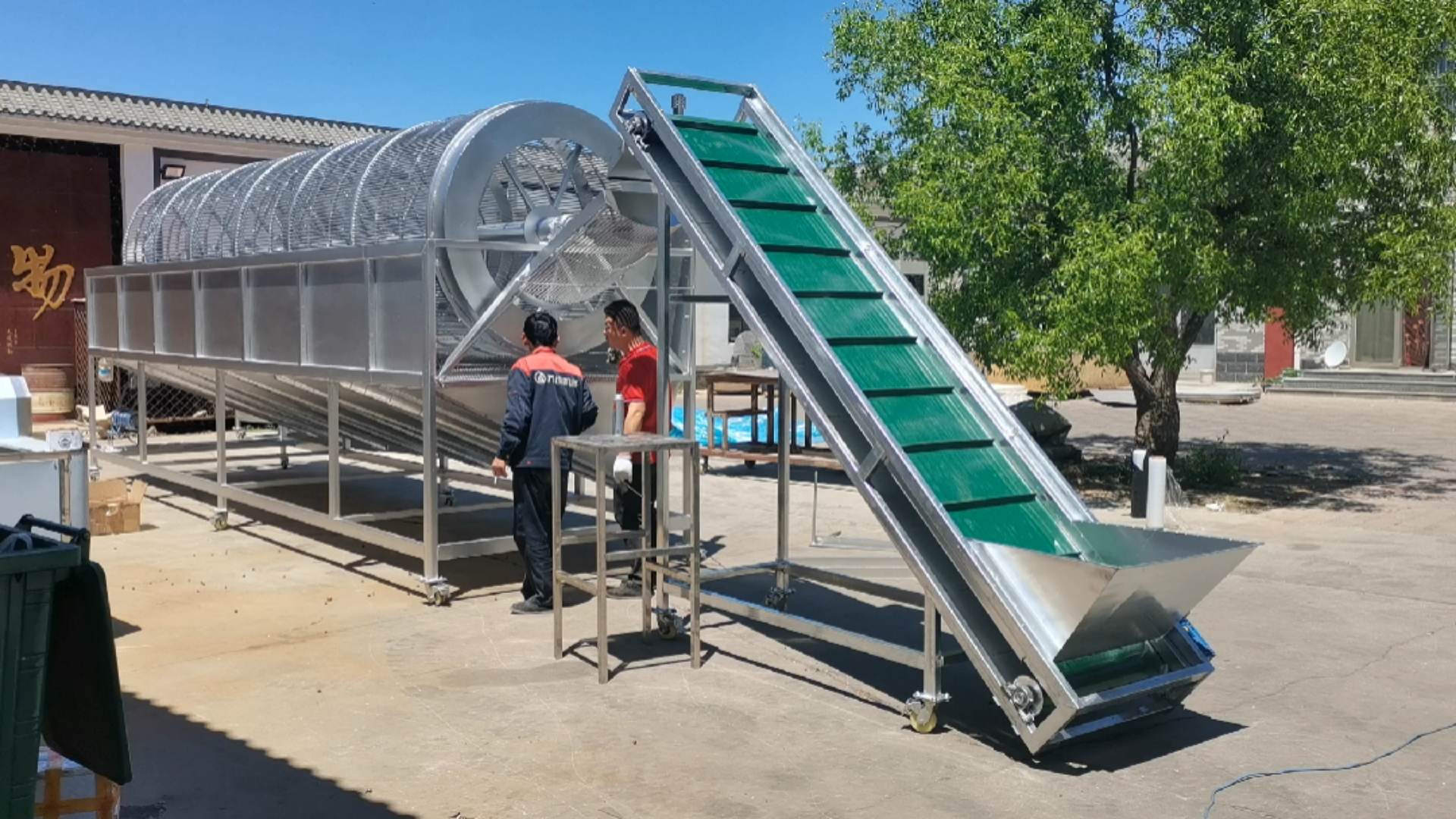 红枣筛选机红枣分拣机红枣分选大小等级机器展示