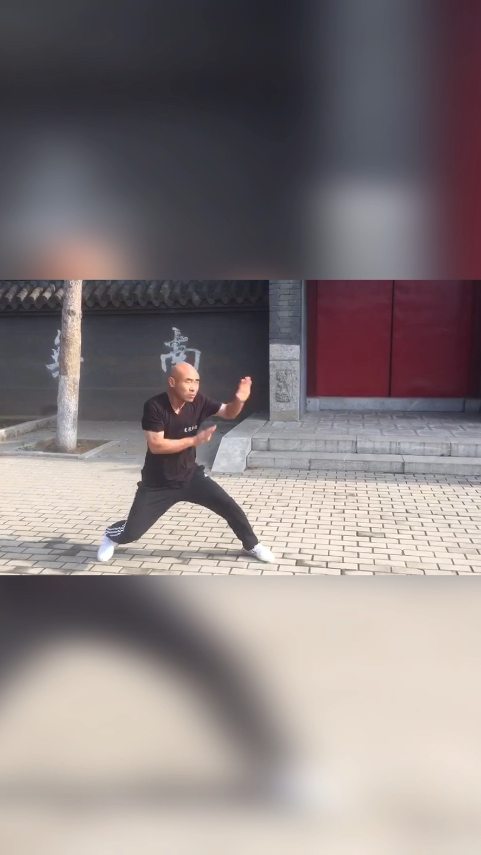 戳脚辽宁省戳脚翻子拳研究会蒋忠明演练戳脚文趟子三十二式