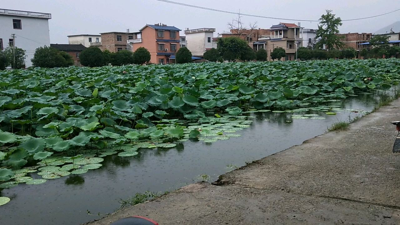 广西全州绍水美丽的古村白塘村