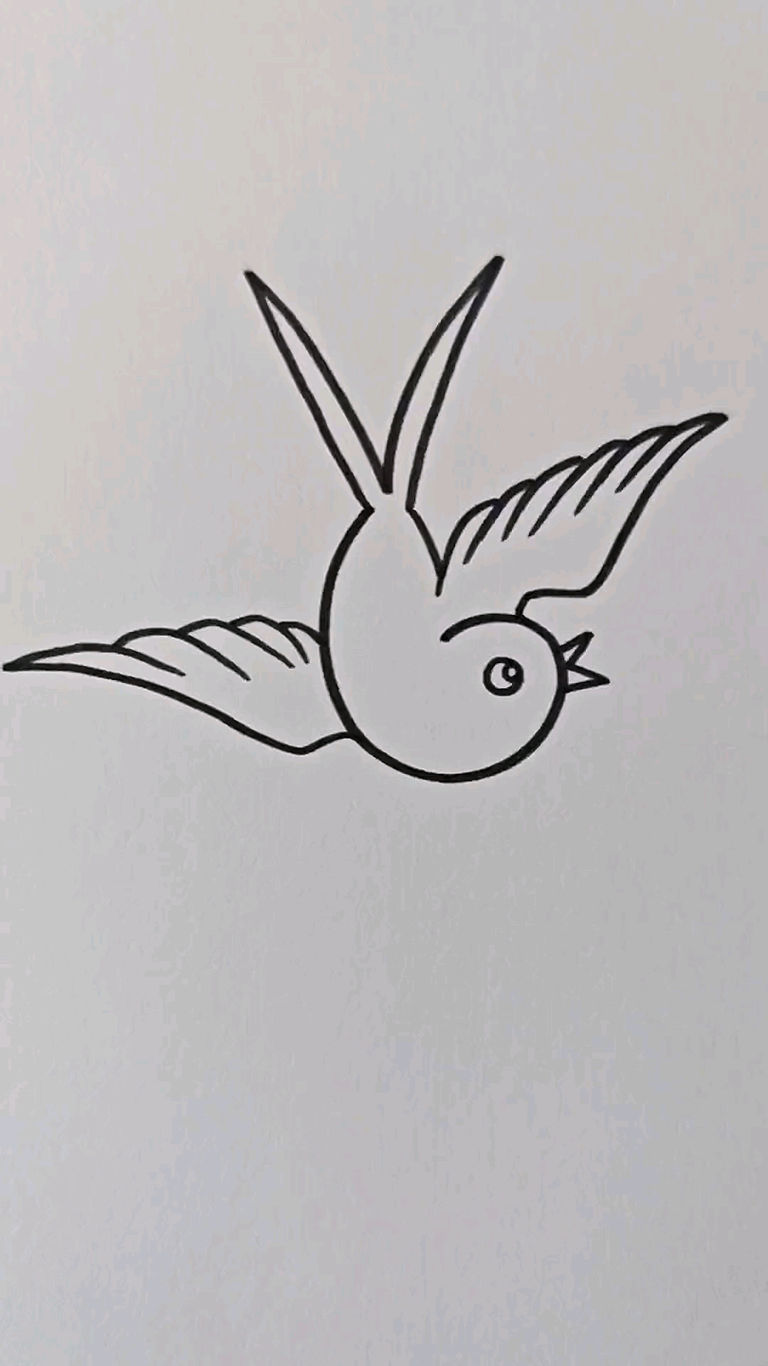 燕子的画法简单又漂亮图片
