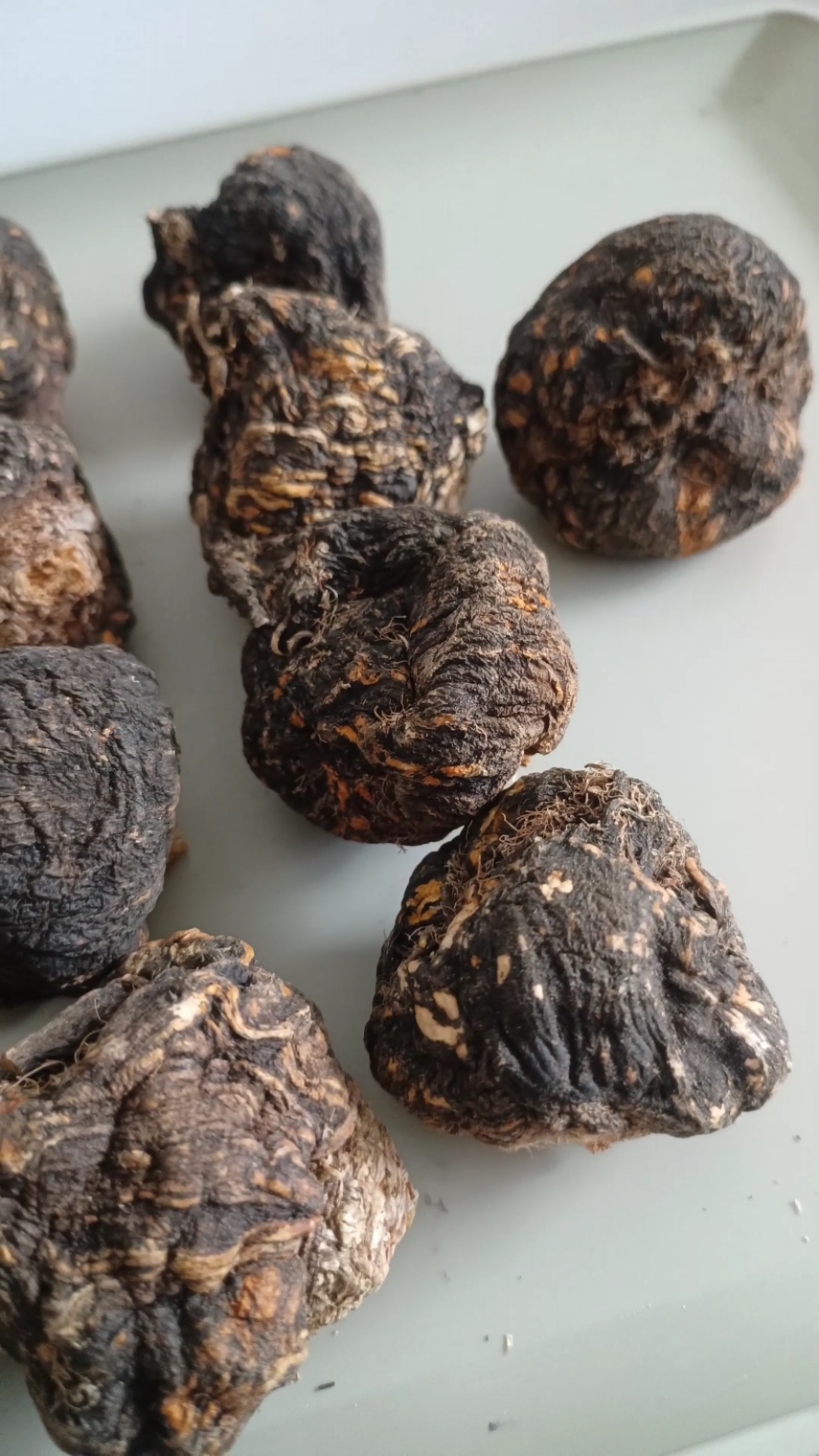 好物推荐#云南满泽玛卡果,丽江大黑玛咖果,黑玛卡干果