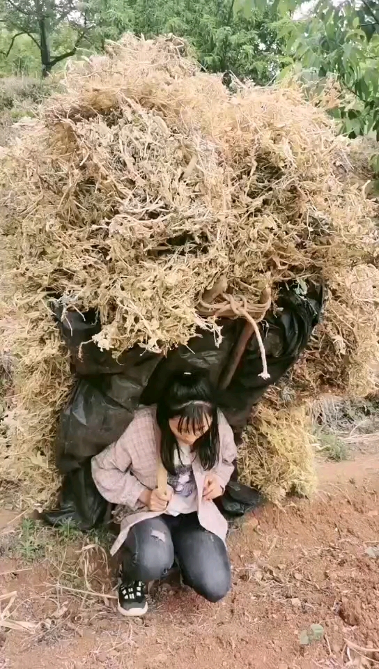 农村女汉子背柴做饭很苦很累,不嫌弃农村人的点颗免费的爱给个鼓励呗!