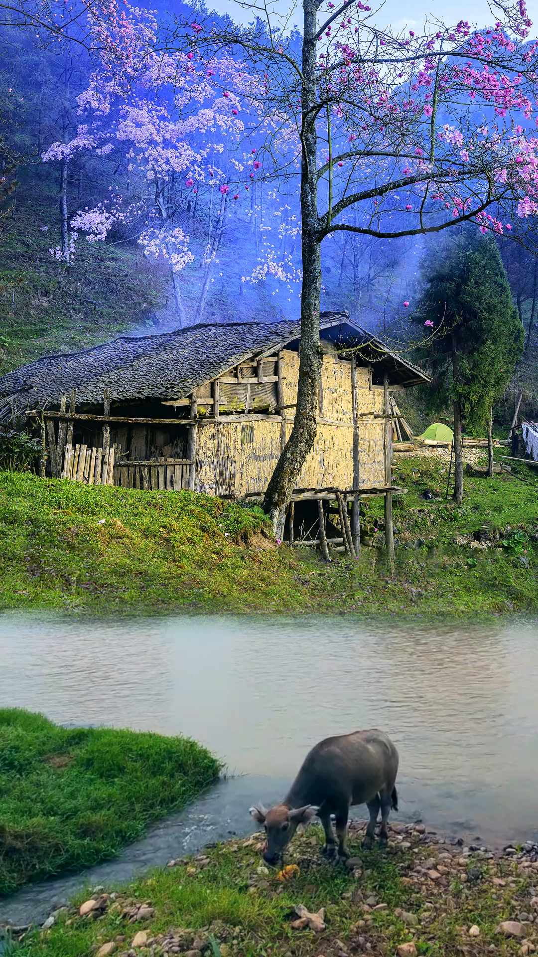 大山深处有人家依山傍水远繁华无为不做俗尘事轻煮岁月慢煮茶