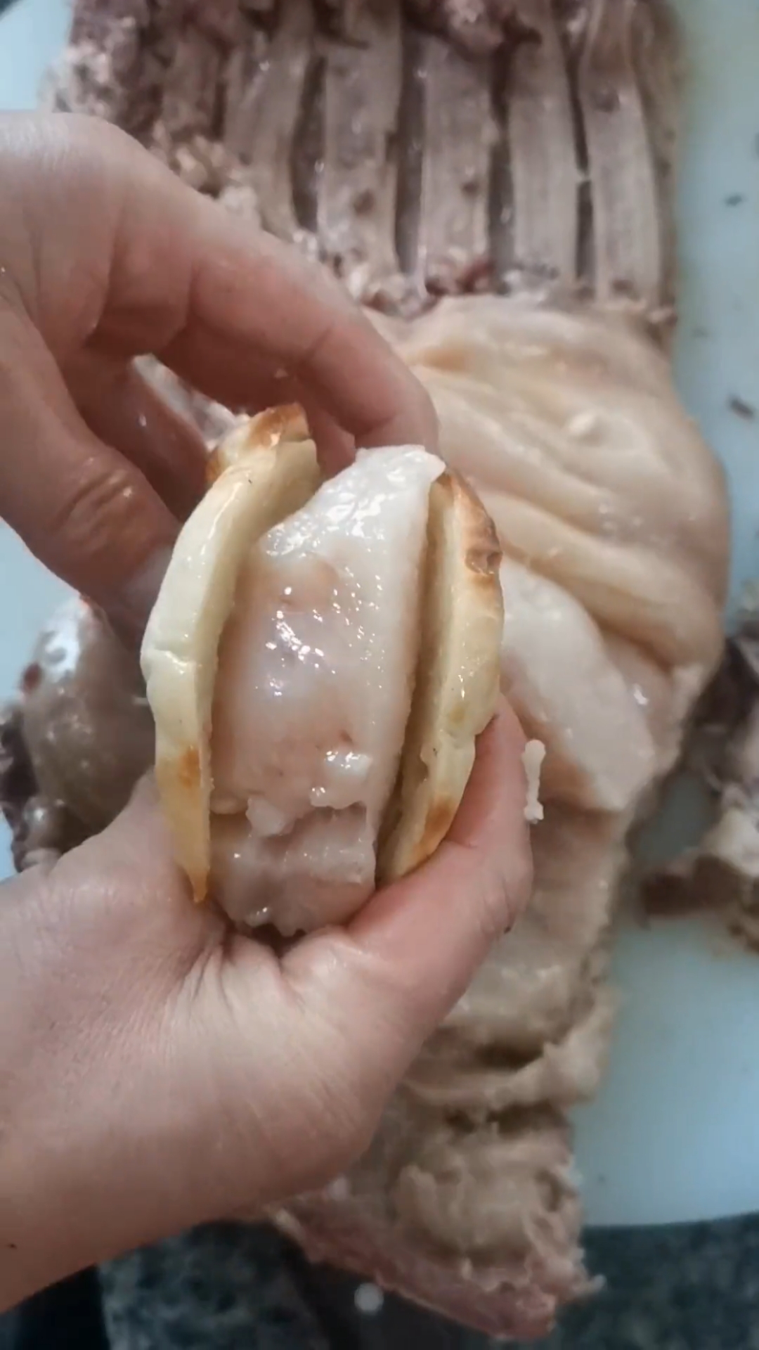 隔壁大哥做的肉夹馍好恶心