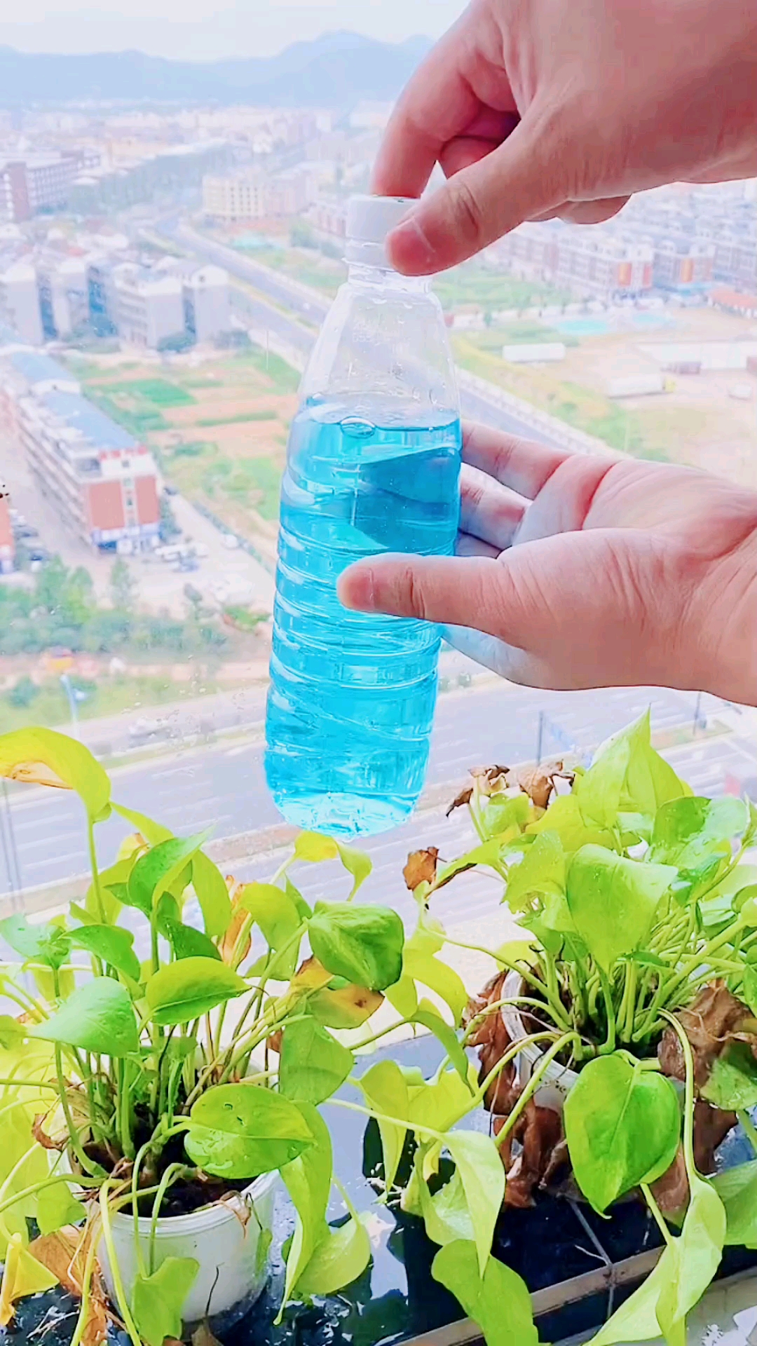 废物利用#空矿泉水瓶废物利用