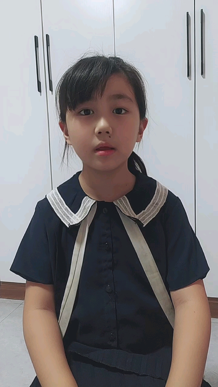 《燕子的记事本》日本.金子美玲